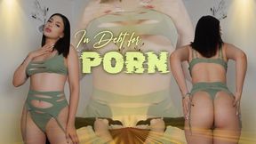 In Debt for Porn