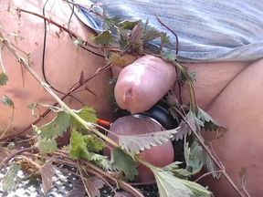 Fun with nettles