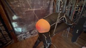 Part 2:- Lanista Bear & Tawseman Dungeon Session