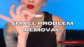 Small Problem Removal