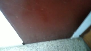 🇺🇸🇬🇧The Guy With Huge Cock Takes Risk in the Elevator and Cums on the Top Floor