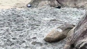 Melissa Lisboa fodendo gostoso na praia de nudismo com marido, FÃ participou nao se aguentou gozou gostoso
