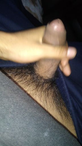 Pleasure in the Afternoon