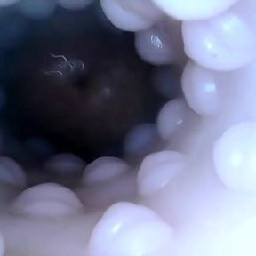 Internal closeup fucktoy