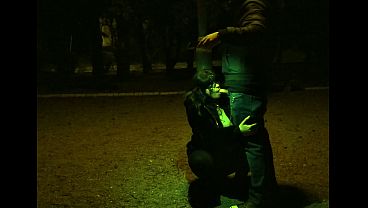 You are mine slave CUNT