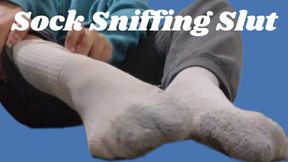 Sock Sniffing Slut