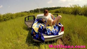 Peeing from the top of a car