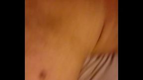 URSO MACH&Atilde_O VEADO DANDO NO HOTEL PARA MACH&Atilde_O