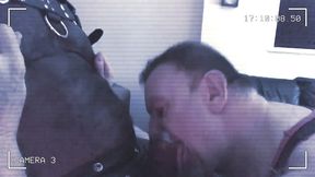 the return of the titpigs: on camera surveillance.