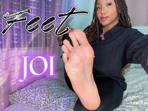 Feet JOI (Sensual)