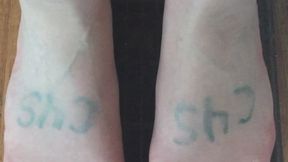 GRANT A WISH FURNACE CRAZY LIKE LIZZY MCGUIRE