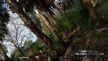 "What If They're Coming For Us?" Almost Caught in Orlando
