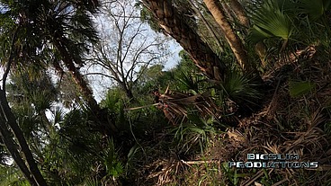 "What If They're Coming For Us?" Almost Caught in Orlando