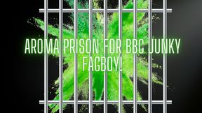 The NLP toolbox: Aroma Prison for BBC junky fagboy!