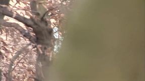 Nataly Fucked on by masked man in woods