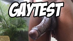GAYTEST