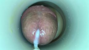 Mature Cock by cum cam man