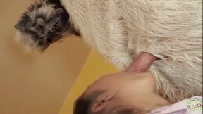 Yeti's Mysterious Roars Echo As Woman Provides Intimate Oral Pleasure