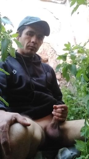 My Cock Want You