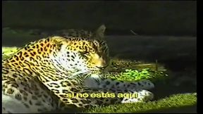 ce changan :3 - nunca toy :( (oufacial vidio musik)