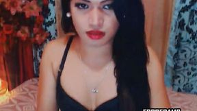 Desirable Amateur Asian Shemale Escort