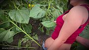 No One Saw Us in the Sunflower Field as Step brother Fucked Me into Absolute Bliss-Hi to Husband 💦🖕