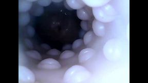 Internal closeup fucktoy