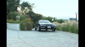 The Fool Enjoys Sucking