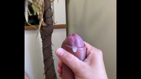 Gozada antes do trabalho