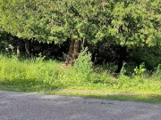 Securing my clothes away, left naked to play with my buttplug, near a public road