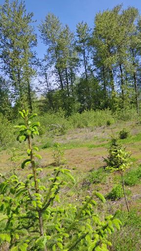 Wildlife Area Walk