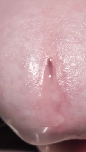 Play, Edge and Leak Lots of Sperm Precum Spunk. Close up Thick Cum Load. Swallow My Own Load