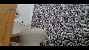 Bathroom Diary One HD WMV