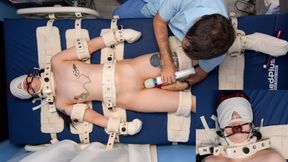 Obedience Training for Ditria Rose