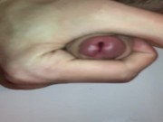 Young 21 Year Old Boy Mastrubates On Freinds Toilet. Cum Shot.