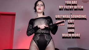 YOU ARE MY FILTHY BITCH - URETHRAL SOUNDING, CBT, EDGE AND MUCH MORE (Video request)