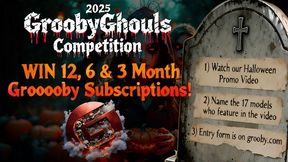 Chick's competition action