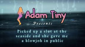 picked up a slut at the seaside and she gave me a public blowjob on a crowded pier