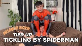 Robbing Spider-Man's House Was My Biggest Mistake