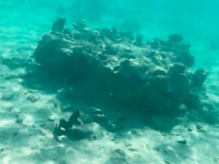 My bare diving on a public beach - rate what I can do underwater