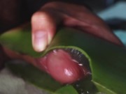 masturbandome con aloe vera hasta sacar mi leche espesa