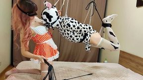 This flying cow needs to be milked