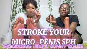 Stroke your micro penis SPH