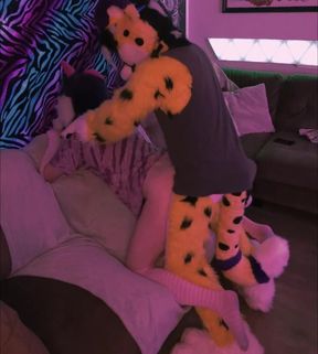 Pounding Wuffles into the Sofa