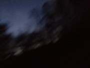 Early morning roadside sissy
