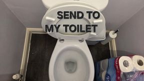 Send to my toilet