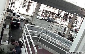 Sucking a tranny in public