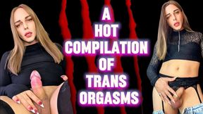 A hot compilation of trans orgasms