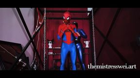 Spidey Caught in My Web!