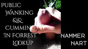 Public Wanking && Cumming In Forest Lookup
